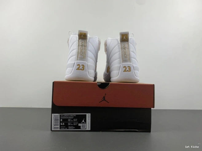 Jordan Air WMNS 12 Trendy FD9101- 654 Phantom 1227